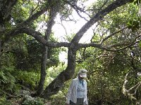 DSCN8615  In the woods