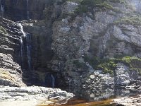 DSCN8620  Tannic acid water