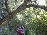 DSCN8634  Lots of people