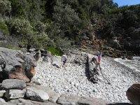 DSCN8645  Cobble beach