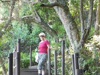 DSCN8654  Stairs back up