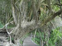 DSCN8656  Watch your head!