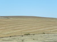 DSCN8676  Field patterns