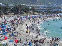 DSCN8725  Frollicking primates