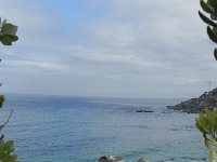 DSCN8737  Tranquility