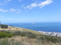 DSCN8755  Off they go!