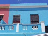 DSCN8773  Eye-popping