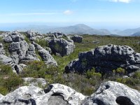 DSCN8845  Almost lapié