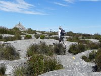 DSCN8850  not much soil