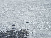 DSCN8862  Light on water