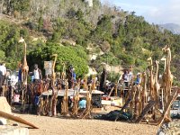 DSCN8868  Want to 6 foot tall giraffe statue?