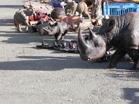 DSCN8869  or a living room dominating rhino?