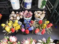 DSCN8878  Flower market