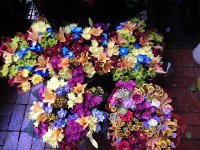 DSCN8881  with flash they pop!