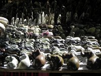 DSCN8889  herds of rhino and hippo