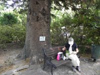 DSCN8905  lunchtime in the park