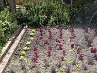 DSCN8909  or why settle this place anyway?