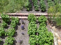 DSCN8910  To provide fresh food to the ships headed to the East Indies