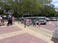 DSCN8915  Different kind of ducklings