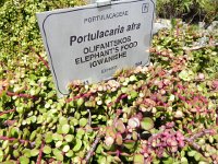 DSCN8944  good name!