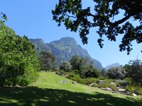 DSCN8947  garden beds