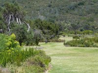 DSCN8952  Fynbos plots