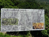 DSCN8971  All you need to know about the forests