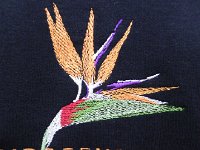 DSCN8973  for possible future use