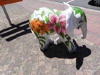 DSCN8988  Baby elephant