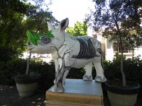 DSCN8989  Baby rhino