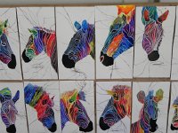 DSCN8991  psychedelic zebras