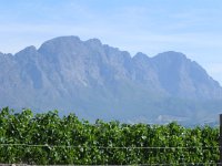 DSCN9016  vines and mountains