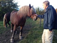 IMG 3428  Fredy greeting some sturdy horses