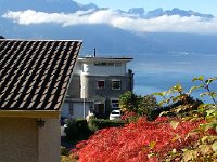 20161022 110756  22 October on the way to the garden