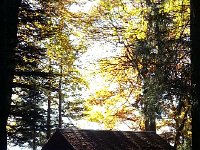 20161029 144436  Shelter at the overlook on le Cubly