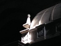 IMG 3205  The light picks out what it will