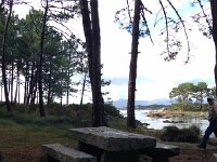 IMG 3226  Nature Park on the Isle of Arousa