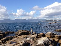 IMG 3231  Rock hopping