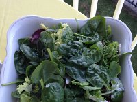 IMG 3240  and spinach salad