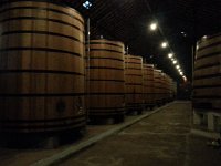 20161008 181848  Back in Porto we visited a port wine facility