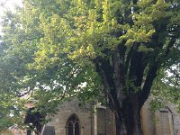IMG 3349  Group portrait at the Abbaye