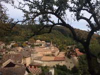 IMG 3364  Further along toward the bell market