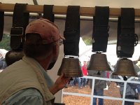 IMG 3383  You are free to touch them