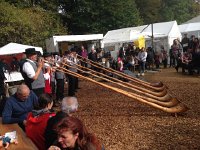 IMG 3394  Alpenhorns of course