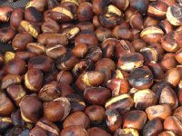 IMG 3401  and roasted chestnuts!