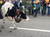 20161001 120154  Heavy!