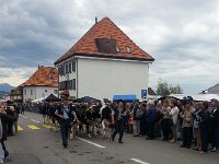 20161001 120248  Herd