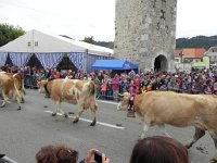 DSCN7635  Lots of people showed up