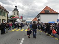 DSCN7641  Between herds