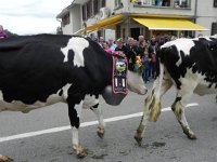 DSCN7649  This year&#39;s bell